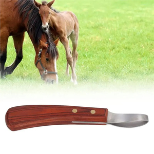 Coupe-ongles pour chevaux et bovins, manche en bois de caoutchouc, 2 pièces, couteau à ongles ovale multifonctionnel pour fermeur de chevaux - Product Image 4