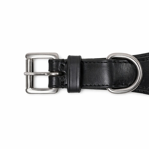 Genuine Leather Turquoise Concho Dog <b>Collar</b> Western Decorative Handcrafted Durable <b>Pet</b> <b>Collar</b> Adjustable Heavy Duty Buckle - Product Image 6