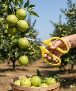 Flower cutting hand tools pruning shears - Product Image 2