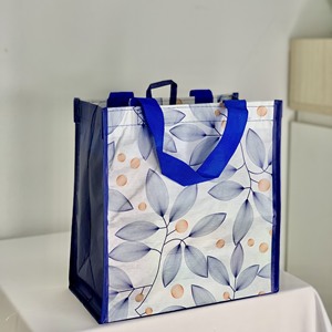 Bolsa de compras de polipropileno sin tejer con asa hasta el hombro, sin impresión por huecograbado, con logotipo personalizado, del fabricante de Vietnam, en caja. - Product Image 1