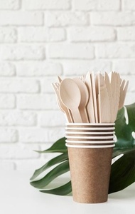 Fourchette en bois de bouleau écologique 155 mm pour des repas sains et le service de desserts, idéale pour les fruits, les collations et la restauration. - Product Image 1