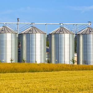 Unités de stockage de silo en acier d'ingénierie de qualité supérieure Installation facile avec une excellente ventilation pour une durée de conservation prolongée - Product Image 2