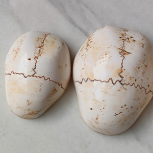 Exquisito Altar Budista Japonés Butsudan Kapala para Rituales Tradicionales de Agua y Arroz en Santuarios Domésticos, Calavera de Nepal de Gran Venta - Product Image 4