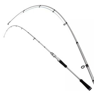 Canna da Pesca in Fibra di Carbonio a 2 Sezioni, 6 Piedi, Durezza Media, Azione Rapida, per Pesca alla Carpa, Surf, Ghiaccio e Fiume - Product Image 2