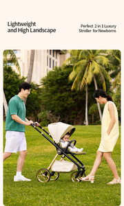 Produits les mieux classés : Poussette bébé 2 en 1, livraison gratuite, système de voyage, poussette bébé 2 en 1 - Product Image 3