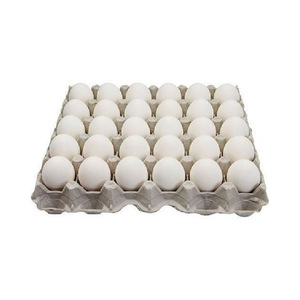 Œufs de poulet de haute qualité, frais et naturels, prix de gros, produits animaux, œufs - Product Image 5