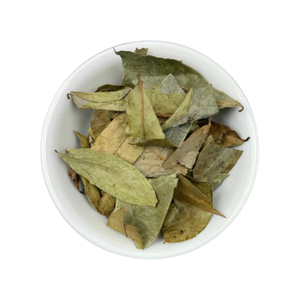 Feuilles de Graviola séchées de qualité export en gros - Product Image 2
