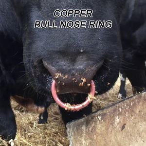 ห่วงจมูกวัวคุณภาพพรีเมียมยอดนิยม ห่วงจมูกวัวโลหะทองแดงสำหรับปศุสัตว์ มีหลายขนาด - Product Image 2