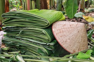 ใบตองแช่แข็ง ใบตองสดสีเขียวสำหรับห่ออาหารและปรุงอาหาร - Product Image 4