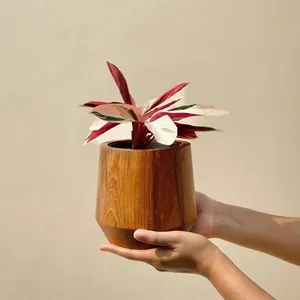Jardinière artisanale en teck avec plateau de drainage pour plantes et fleurs de jardin, écologique, biodégradable, vente en gros du Vietnam - Product Image 5