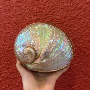 Natural Iridescent <b>Abalone</b> Jewelry Organizer | Oval Scallop <b>Shell</b> Aesthetic Case | Boho Luxury Decor - Product Image 4