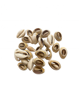 Coquille de cauris brun polie / Coquille de trompette naturelle polie par le fabricant, artisanat, décoration intérieure, souvenir de Noël, cadeau - Product Image 2