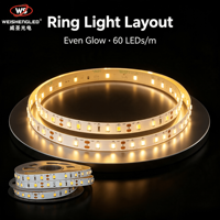 Lampu Strip LED Fleksibel DC5V 60LEDs/m SMD2835 Kecerahan Tinggi, Suhu Warna 3000K-6000K, Pencahayaan Lanskap Berbahan Tembaga.