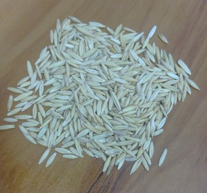 Avena Integral para Alimentación Animal |   Avena cruda a granel |   Proveedor de Granos de Avena |   Reen Traders - Product Image 3