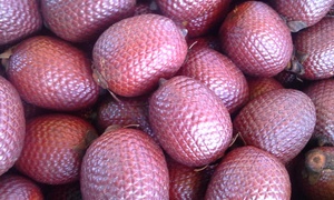 Extracto de Aguaje en polvo, el mejor distribuidor de fábrica de Aguaje peruano al por mayor - Product Image 6