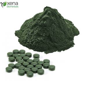 Proveedor Mayorista de Polvo de Espirulina de Marca Privada, Ingrediente Rico en Proteínas para el Bienestar - Product Image 2
