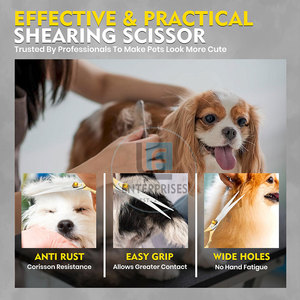 Tijeras Curvas de Acero Inoxidable para Peluquería Canina, Marca Privada al por Mayor, Alta Calidad, Ecológicas y Fáciles de Usar - Product Image 6