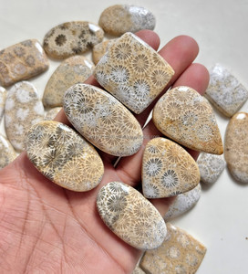 100% Coral fósil Natural piedras preciosas sueltas curación fósil Coral cabujón tamaño libre cabujón para la fabricación de joyas - Product Image 2