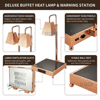 Lampe chauffante de buffet de luxe en acier inoxydable or rose pour hôtels et restaurants, base chauffante électrique noire et or, ensemble chauffe-plats électrique