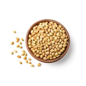 Vente en gros d'usine, graines de coriandre de haute qualité, 100% naturelles, goût intense, riches en nutriments - Product Image 6