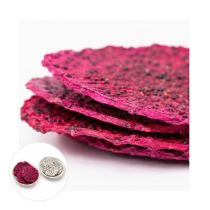 Oferta Especial: Fruta del Dragón Deshidratada Suave de Primera Calidad, Suministrada por Fabricante Vietnamita, Empacada en Bolsas de 500g - Product Image 3
