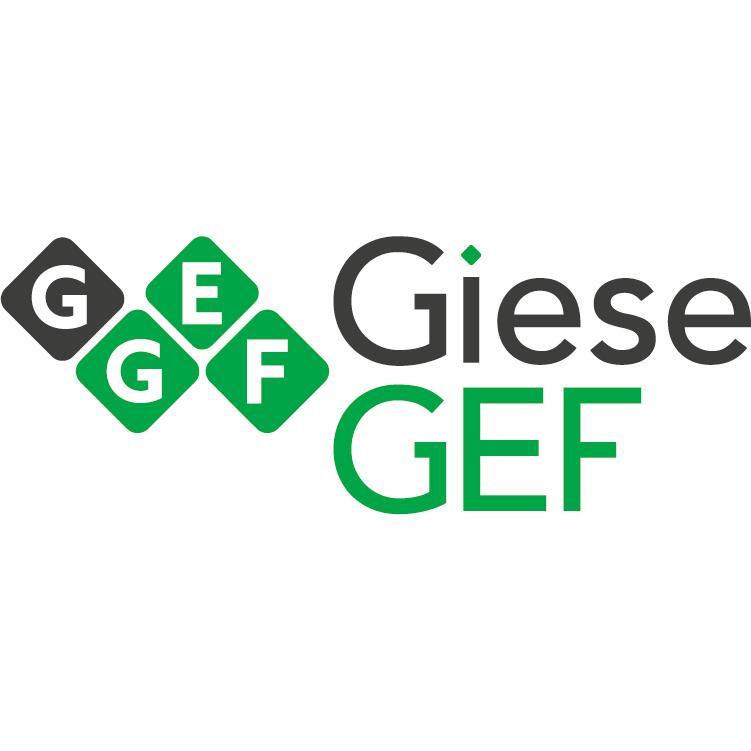Giese-GEF Druck GmbH logo
