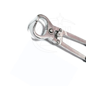 High Performance Hoof <b>Cutter</b> For Livestock Hoof Care And Shaping Work Professional Grade Farrier - Product Image 5