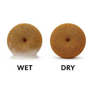 ใยขัดจานจากใยมะพร้าวธรรมชาติ |   ฟองน้ำซุปเปอร์ดูดซับ ปลอดสารพิษ ปราศจากพลาสติก ย่อยสลายได้ เป็นมิตรต่อสิ่งแวดล้อม และยั่งยืน - Product Image 2