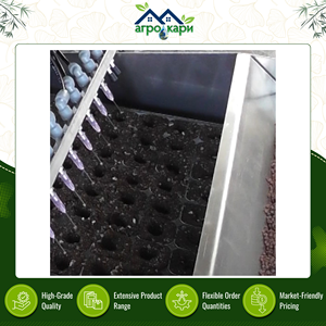 High Quality High Precision Manual Vacuum Seeder Machine 8 Fixed Nozzles 50 <b>Trays</b>/Hour Capacity 1 Year Warranty for Vegetable - Product Image 5