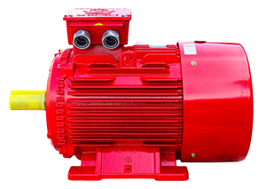 Moteur électrique AC classe C résistant à la chaleur 0,18 kW-315 kW Noyau en cuivre en fonte - Product Image 5
