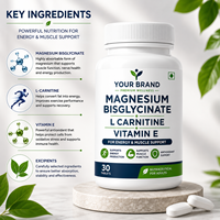Fabricant OEM de comprimés de bisglycinate de magnésium, de L-carnitine et de vitamine E pour adultes, pour soutenir l'énergie, la santé musculaire et cardiaque