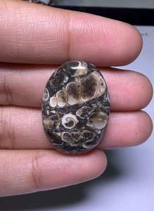 Lote al por mayor de cabujones de ágata TURRITELLA por peso con diferentes formas y tamaños utilizados para la fabricación de joyas, piedra TURRITELLA - Product Image 4