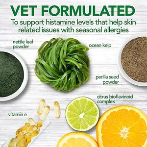 Soutien Allergie Santé Peau & Pelage Friandises Tendres Sans Céréales pour Chiens et Chats Champignons Curcuma Zinc Absorption Rapide Sûr OEM Disponible - Product Image 3