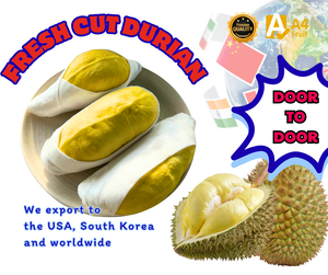 Pulpa de Durian Congelada Premium de Tailandia para Exportación, Durian Monthong Tailandés de Cosecha Fresca, Listo para Envío, Congelado en Tailandia - Product Image 1