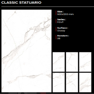 Azulejos de Porcelana Brillante de Primera Calidad CLAYTON CERAMIC, Antideslizantes y Resistentes a los Ácidos, Tamaño 600x1200mm, Hechos en India - Product Image 1