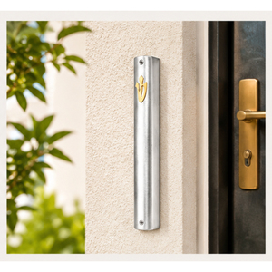 Modern Aluminum Mezuzah <b>Case</b> Gold Shin Outdoor Jewish Door Blessing Holder Silver Brushed Finish Self-Adhesive Eco-friendly High - Product Image 4