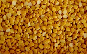 Lentilles de dal toor biologiques, pois chiches fendus, modèle dal toor deux, d'Inde, avec une durée de conservation de douze mois, qualité export, séchées en vrac - Product Image 5