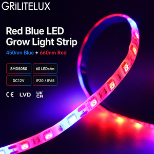 แถบไฟ LED สีแดงน้ำเงินสำหรับปลูกพืช SMD5050 DC12V 10 มม. PCB 60 LEDs/เมตร อัตราส่วน 5:1 IP65 เคลือบซิลิโคน 12-14W/เมตร สำหรับฟาร์มในร่ม - Product Image 1