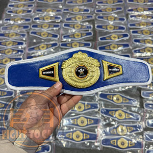 Crea tu propio logo, cinturón mini a precio económico, ligero, duradero, para lucha libre, boxeo, artes marciales mixtas, cinturones de campeonato para niños. - Product Image 5