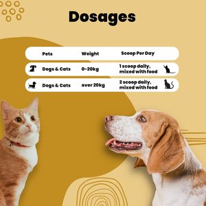 Suplemento en Polvo para Perros y Gatos OEM ODM con Vitaminas, Minerales, Probióticos y Enzimas Digestivas para la Salud Inmunológica, de la Piel y las Articulaciones - Product Image 3