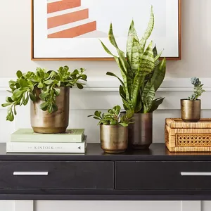 Handmade Iron Coastal Design Tabletop <b>Vases</b> <b>Set</b> Eco-Friendly Decorative Metal Planters for Modern Interior - Product Image 3