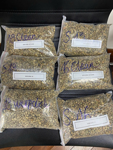 High Quality PHALCO Robusta Green Coffee <b>Beans</b> Grade 1 Screen 16/18 Vietnam Best Price Ready for Export in Jute <b>Bag</b> Packaging - Product Image 5
