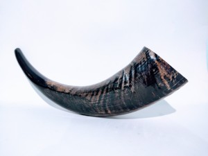 Cornes de buffle naturelles faites sur mesure, artisanat décoratif, polies, écologiques, de haute qualité, pour Noël - Product Image 6