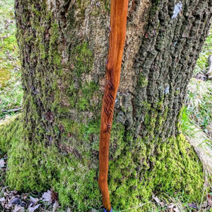 Hermosos Bastones de Madera Tallados a Mano con Soporte Resistente, con un Aspecto Elegante y Moderno, Ecológicos - Product Image 1