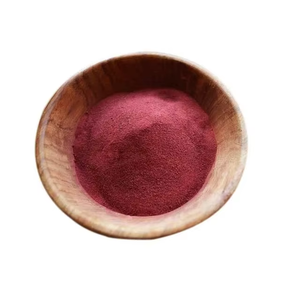 SHUBHALAXMII FOOD INDUSTRY FD Polvo de Raíz de Remolacha 0% Humedad, 2 Años de Vida Útil, Empaque a Granel, Maharashtra - Product Image 1