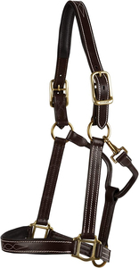 Licol pour cheval avec longe, haute qualité, équestre, en PP, taille personnalisable, confortable pour l'équitation, vente chaude - Product Image 6