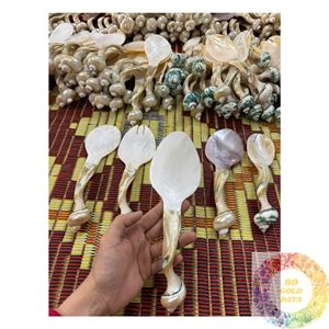 Cuchara de Concha Marina Natural Premium, Hecha a Mano en Vietnam, Fábrica de Vajilla para Accesorios de Cocina y Exportación Internacional - Product Image 4