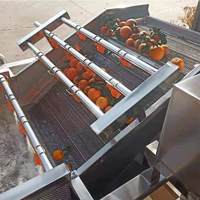 Hogedruk Industriële Champignondadels Wasmachine Cassave Zoete Aardappel Ananas Waslijn Kersenpeper Appel Reinigingsmachine