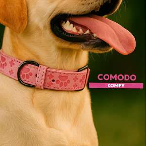 Collar de Seguridad para Mascotas Yommy Essential, de Cuero Sintético, para Perros y Gatos - Product Image 6