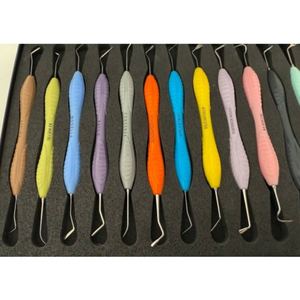 ชุดอุปกรณ์อุดฟันคอมโพสิต 12 ชิ้น พร้อมด้ามจับซิลิโคน Ergomax แบบใช้มือสำหรับงานบูรณะฟัน ปลายสองด้าน ใช้ซ้ำได้ บรรจุในตลับ - Product Image 2